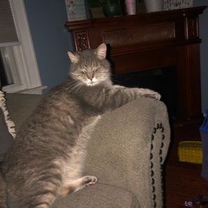 Meet your Posher, Pedro